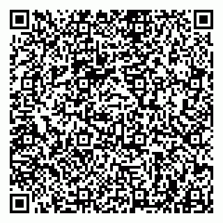 vCard 79963880300