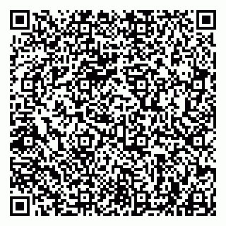 vCard 79963880301