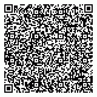 vCard 79963880304