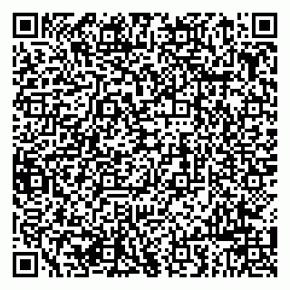 vCard 79963880305