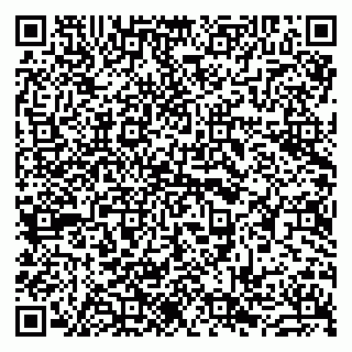 vCard 79963880306
