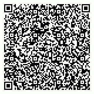 vCard 79963880307