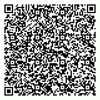 vCard 79963880308