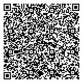 vCard 79963880309