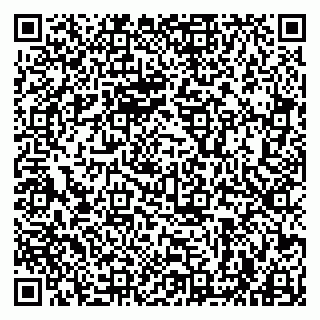 vCard 79963880311