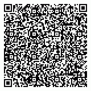 vCard 79963880313