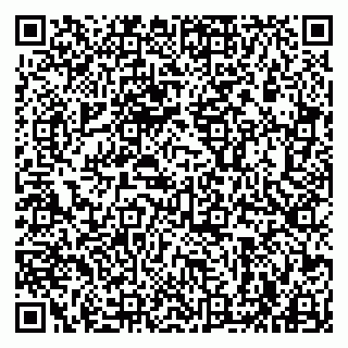 vCard 79963880315