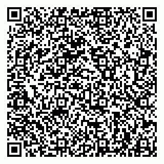 vCard 79963880317