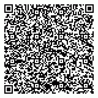 vCard 79963880319