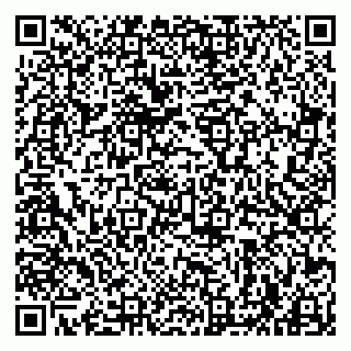 vCard 79963880320