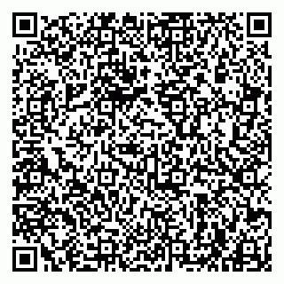 vCard 79963880321