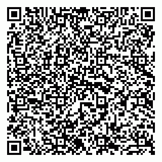 vCard 79963880329