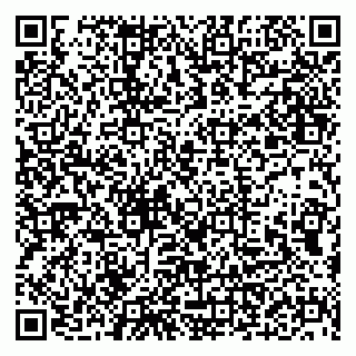 vCard 79963880331