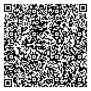 vCard 79963880333