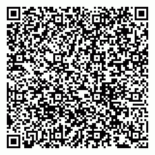 vCard 79963880337