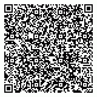 vCard 79963880338