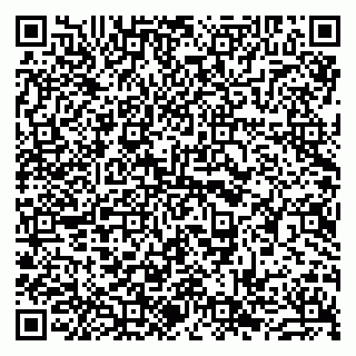 vCard 79963880339