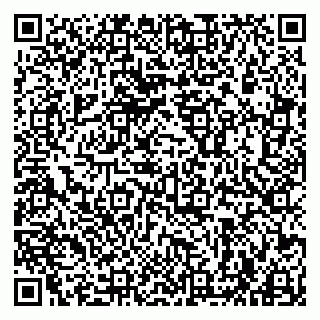 vCard 79963880345