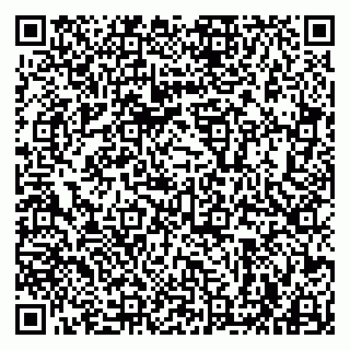 vCard 79963880349