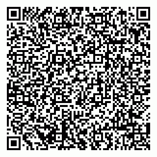 vCard 79963880351