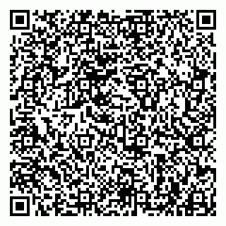 vCard 79963880353
