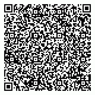 vCard 79963880355