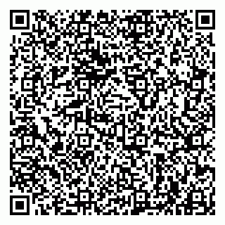 vCard 79963880371