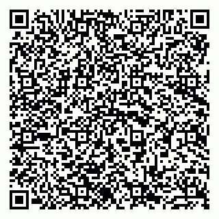 vCard 79963880377
