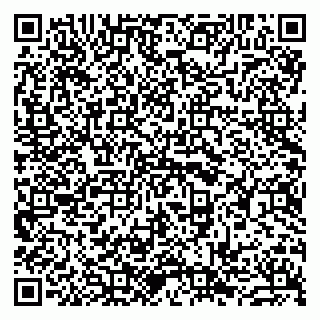 vCard 79963880378