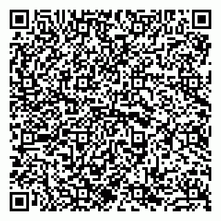 vCard 79963880379