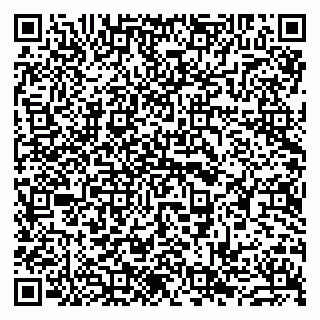 vCard 79963880381