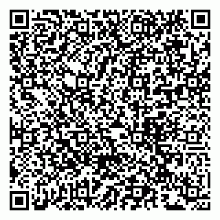 vCard 79963880382