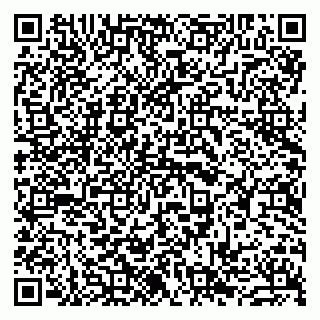 vCard 79963880384