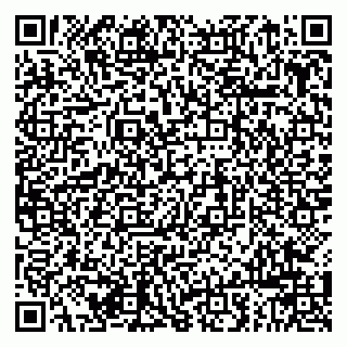 vCard 79963880385
