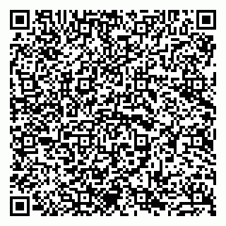 vCard 79963880386
