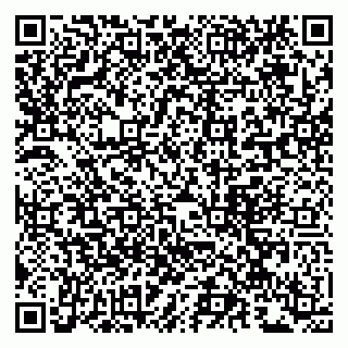 vCard 79963880387