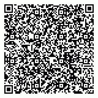 vCard 79963880388