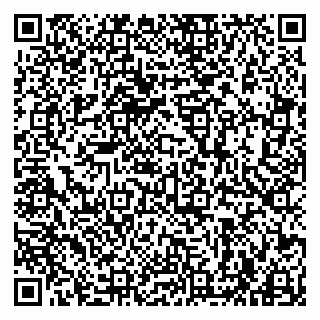 vCard 79963880389