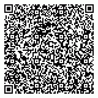 vCard 79963880390