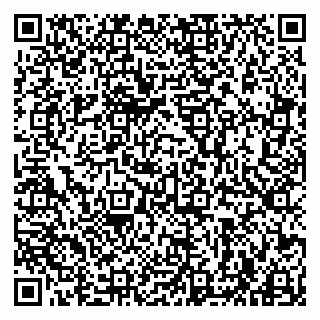 vCard 79963880391