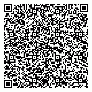 vCard 79963880393