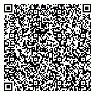 vCard 79963880394