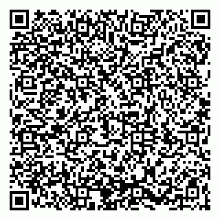 vCard 79964380333