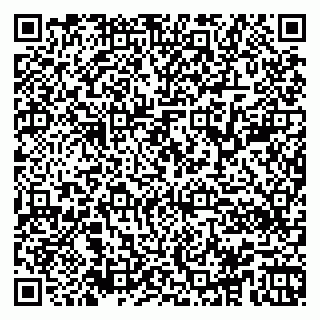 vCard 79964380388