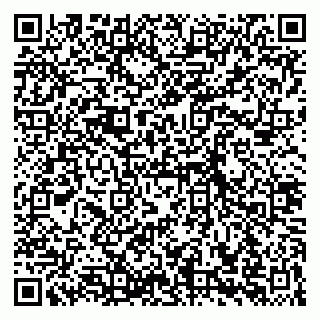 vCard 79965003539