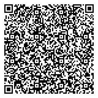 vCard 79965040380