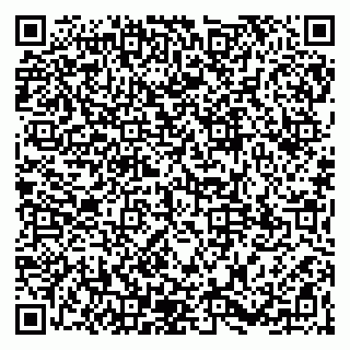 vCard 79965160038