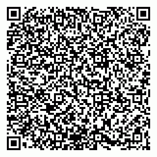 vCard 79965163208