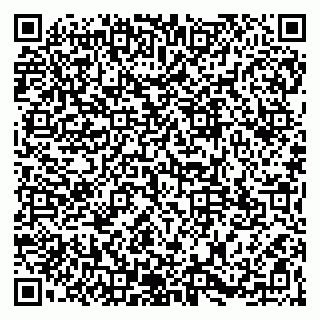 vCard 79965163211