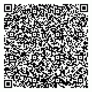 vCard 79965163229